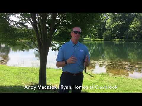 Claybrook VIP Update