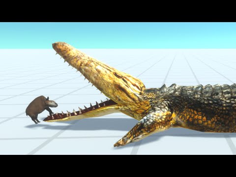 TINY BOAR vs EVERY UNIT - Animal Revolt Battle Simulator