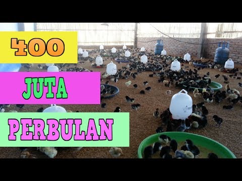 Peningkatan potensi dengan menggunakan baking soda Potensi miskin bagaimana mengobatinya