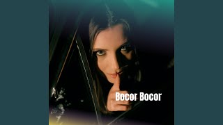 Download lagu Bocor Bocor mp3