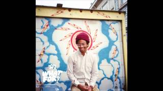 Toro y Moi - What You Want