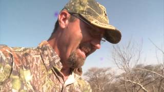 Aardvark and human Race