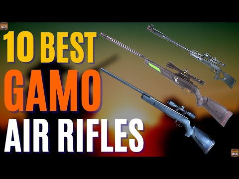 Top 10 Best Gamo Air Rifles On The Market 2024 | Best Air Rifles 2024