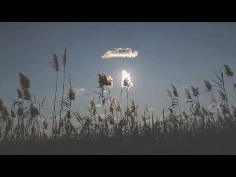 |Song for a little cloud|Stathis Anninos trio ft. Andreas Polyzogopoulos