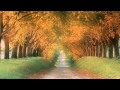 Kim Min Jong (김민종) - Endless Love 