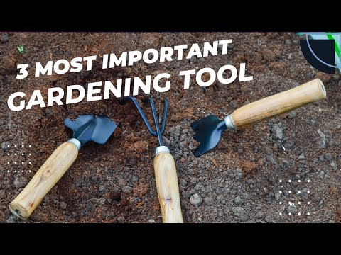 Iron hand cultivator, trowel & garden fork (set of 3) 0541