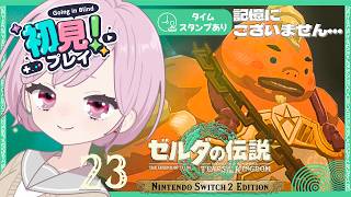 どうしたユン坊？変なマスクを引っぺがしたい九州の蛮族｜シリーズ完全初見【ゼルダの伝説 ティアーズ オブ ザ キングダム｜ティアキン｜TotK】#23