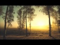 Fallulah - I Lay My Head (Shook Remix) [HD] 