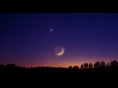 Night