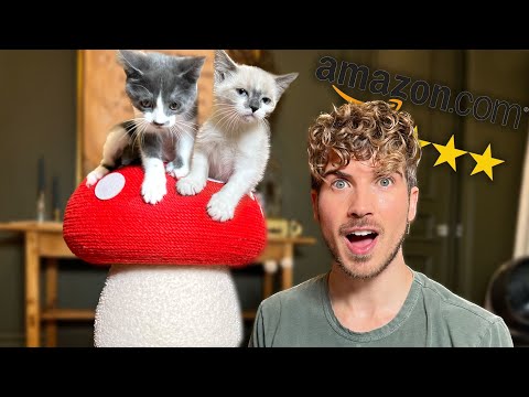 My Foster Kittens Test TOP RATED Amazon Cat Toys!