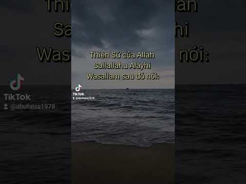 #140 HÃY TÌM KIẾM SỰ CHE CHỞ CỦA ALLAH