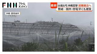 沖縄接近の台風6号　倒木、停電で早くも被害　風にあおられ男性転倒　鹿児島含め約10万人に避難指示（2026年06月01日）