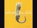 Sonic Youth + I.C.P. + The Ex - In The Fishtank 9 (2002) [Full Album]