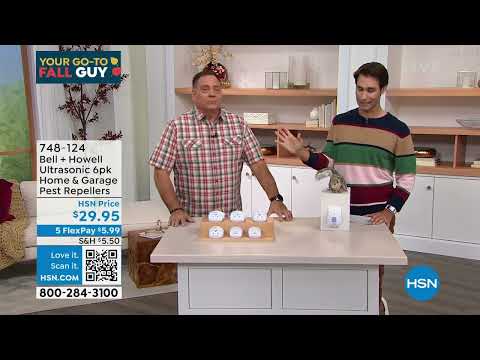HSN | Your Go-To Fall Guy 08.26.2022 - 10 AM