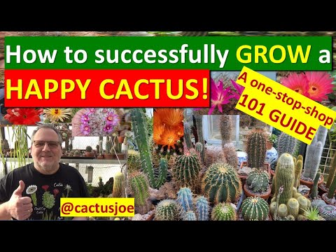 HOW TO GROW HAPPY CACTI: My 101-GUIDE TO CACTUS GROWING & CARE #cactuscare #cactus #plants