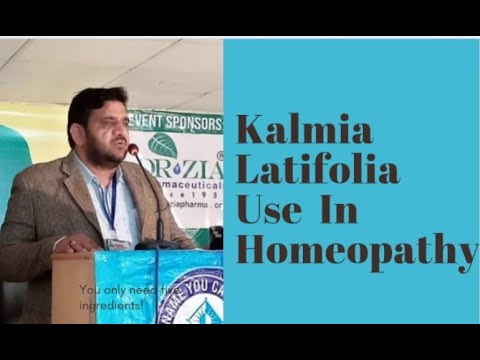 Homeopathic Remedies for Joint Pain/Kalmia Latifolia / DR.ZIaullah Khan Ghazi /Urdu/Hindi