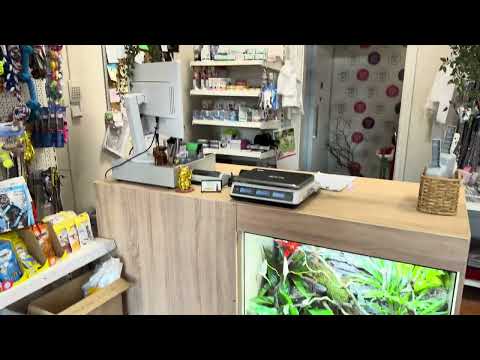 ChameleonFarm - Csodaszép kiskunfélegyházi kaméleon pult