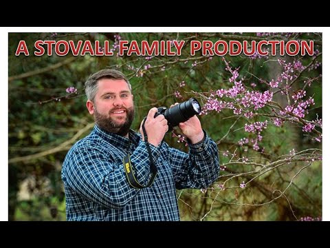 SFA Dendrology Lab - Week 9 (FORS 2319)