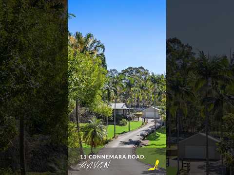 11 Connemara Road, Gaven, QLD 4211, 4 침실, 2 욕실, Lifestyle Section
