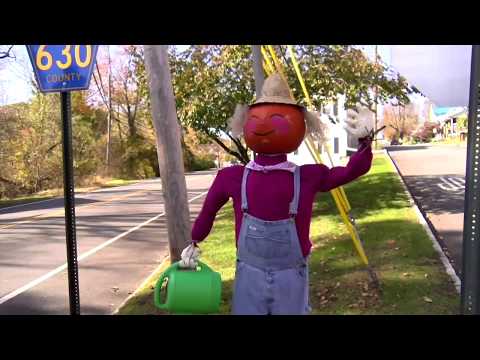 Branchville Scarecrows