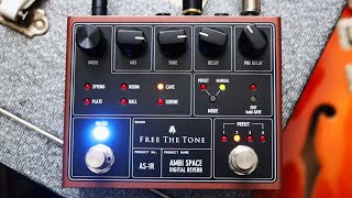 Video thumbnail for Free The Tone Ambi Space Reverb by Pedalboard of the Day