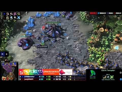 The Foreign Hope Namshar v Winter PvZ G1