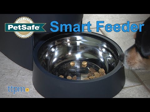 Smart Feed from PetSafe