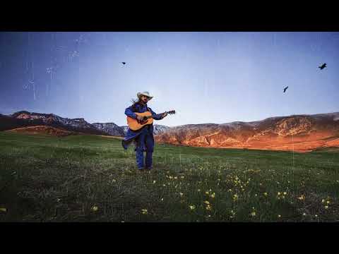 Video thumbnail for Too Many Trees