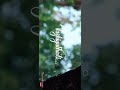 Kadhal Rojavae BGM AR Rahman WhatsApp Status Full Screen
