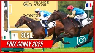 SOSIE wins the 2025 Prix Ganay (G1)