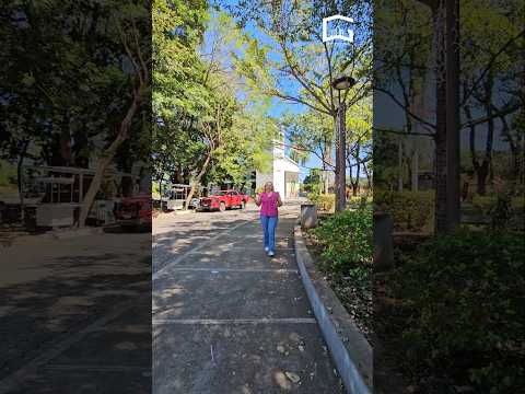 𝐒𝐞 𝐯𝐞𝐧𝐝𝐞 𝐂𝐚𝐬𝐚 𝐞𝐧 𝐂𝐨𝐥𝐨𝐧𝐢𝐚 𝟏𝟒 𝐝𝐞 𝐃𝐢𝐜𝐢𝐞𝐦𝐛𝐫𝐞  #venta #sonsonate #elsalvador #nayibbukele #inversión