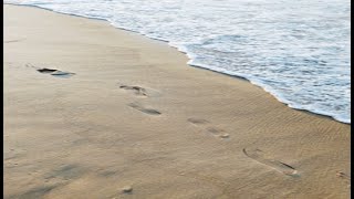 Duran Duran - Palomino (Lyrics)