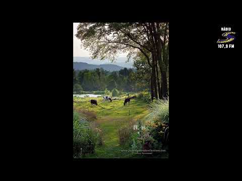 Programa: Caminho da Roça - 11/02/26 - Parte 1 - Apresentação: Paulinho