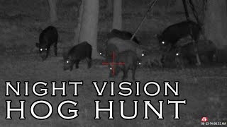 NIGHT VISION HOG HUNT with ATN X-Sight 4k PRO! EASY WILD Pork Recipe!