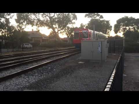 Adelaide Metro | GRNG | Arriving at Woodville