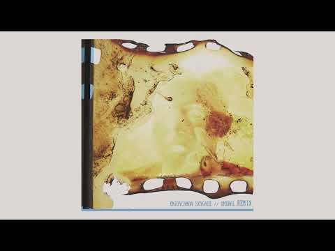 Enjoy Canoa - Comida de Astronauta LASIO rmx