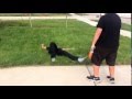 The Gatekeeper Part 5 The Final Battle