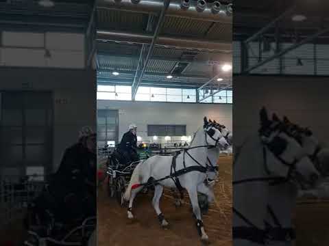 gara di attacchi prova gincana cros