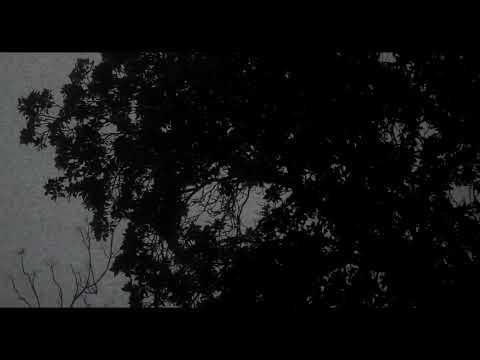 [FREE] BONES x GREAF x PHARAOH x WHITE PUNK type beat - 'TakeMe'