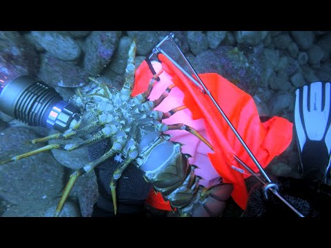 download lagu mp3 mp4 The Cave Tauranga, download lagu The Cave Tauranga gratis, unduh video klip The Cave Tauranga