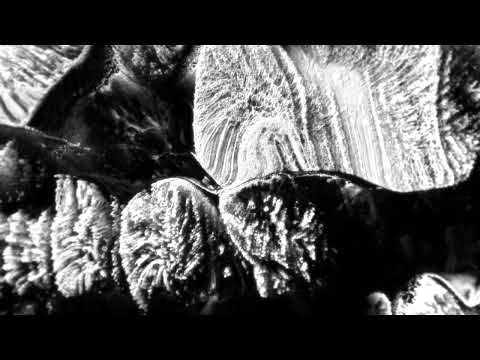 Video thumbnail for MERCURY