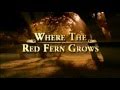 Where The Red Fern Grows Trailer