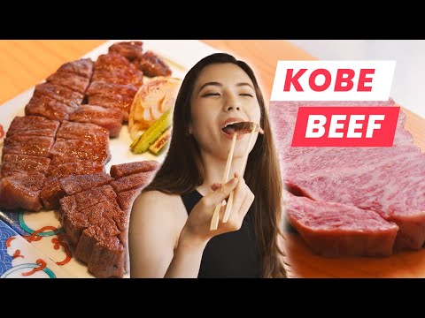 Kobe Beef: The Most Expensive Steaks in the World