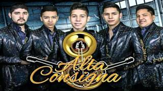 &quot;El Semental&quot; - Alta Consigna [En Vivo 2016]