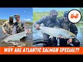 Video Thumbnail for Episode 104 // The Swing of Atlantic Salmon ft. Jake Malolepzy