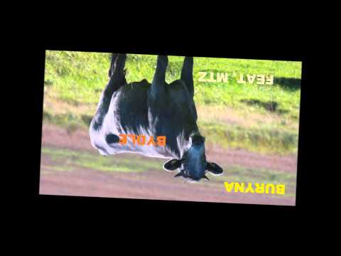 Buryna - Bydle (feat. MTZ)