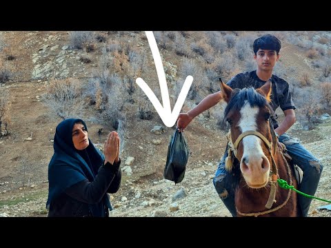 American equestrian gives homeless grandmother a gift that shocks the community