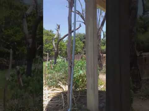 Sistema de irrigação por gravidade p1