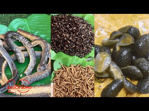 Food stall, dinarayo dahil sa kanilang exotic na mga pagkain | Kapuso Mo, Jessica Soho