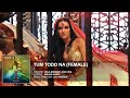 Tum Todo Na I MOVIE Female Karaoke